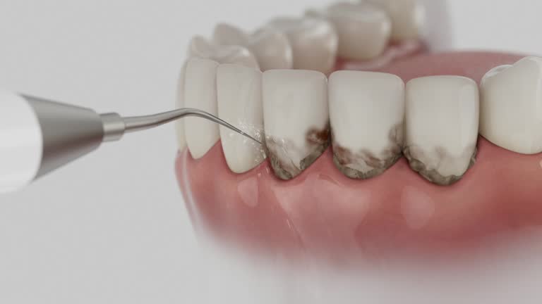 Reliable Dental contractor in Jekyll Island, GA by Dentist Open Now